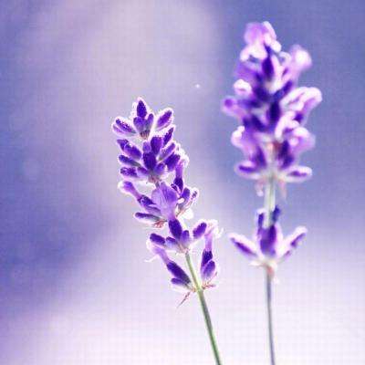 半岛·体育中国官方网站平台登陆