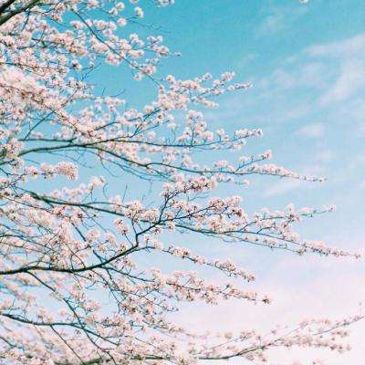 BOB体育综合官方平台APP