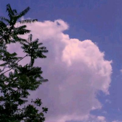 大发黄金版888下载下载手机版截图